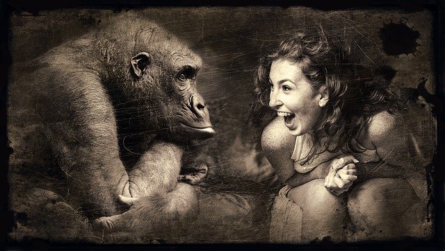 gorila a žena